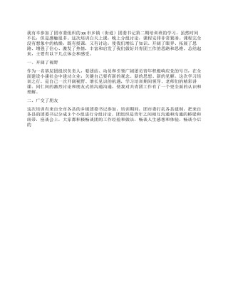 乡镇团委书记培训心得体会