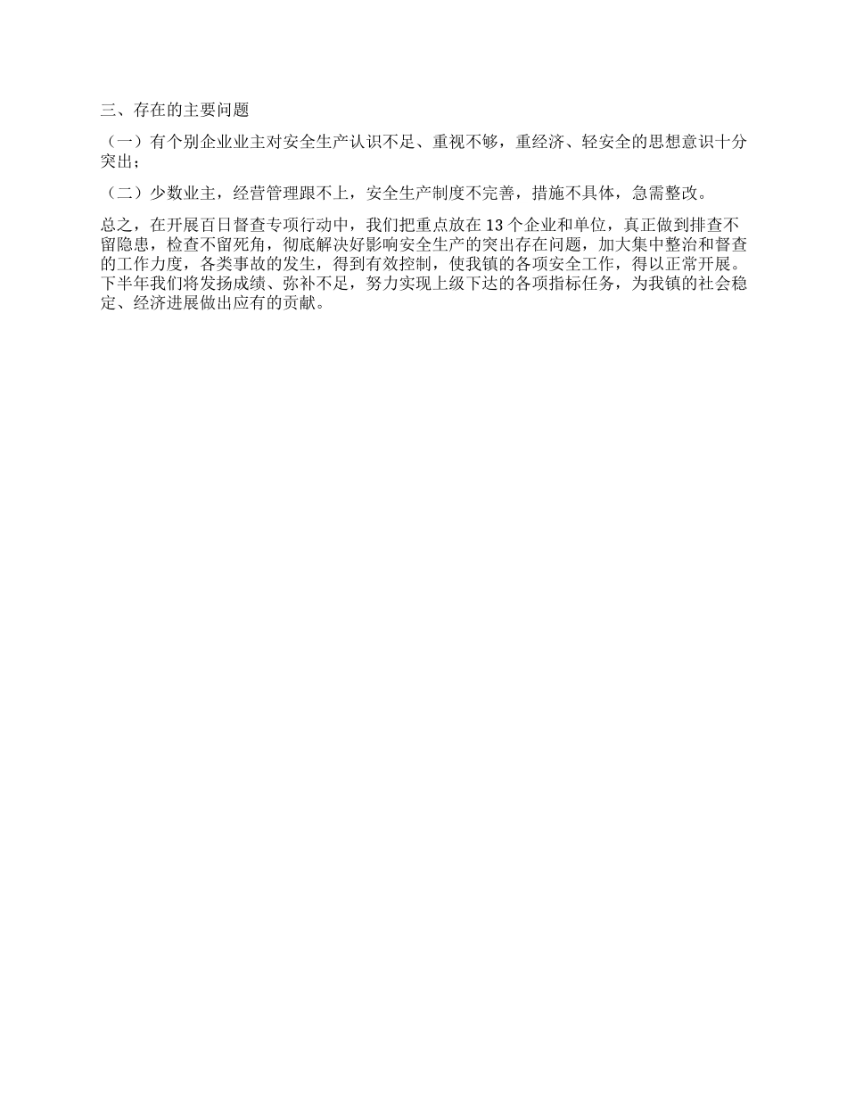 乡镇安全生产百日督查专项行动工作总结_第2页