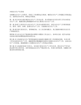 乡镇安全生产负责制