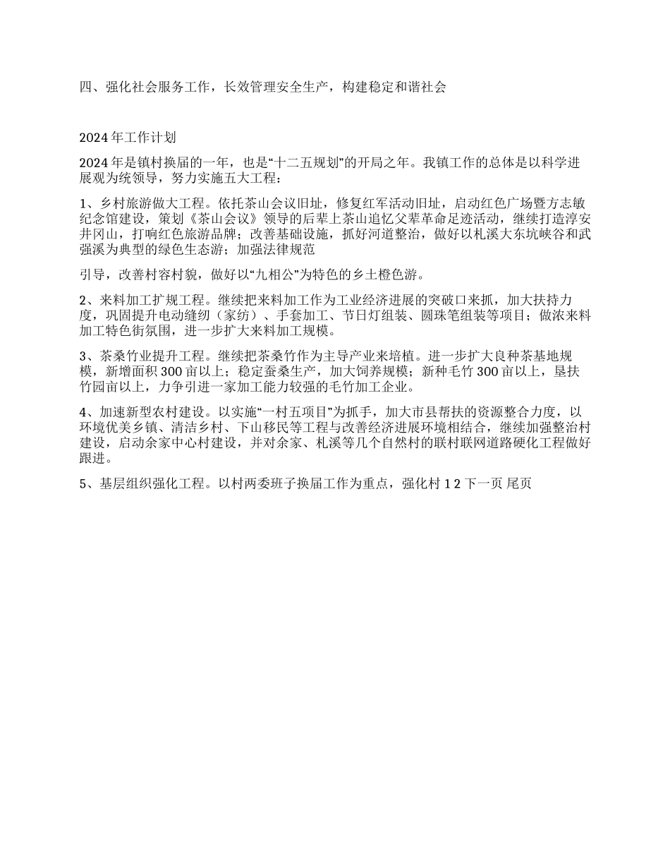 乡镇工作总结及2024年工作思路_第2页