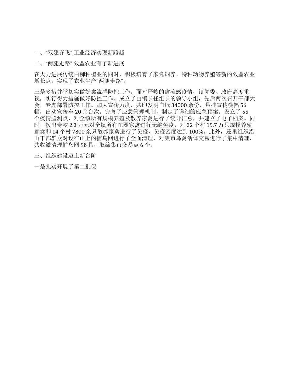 乡镇年工作总结和年工作计划_第1页