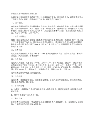 乡镇强农惠农资金清理工作汇报