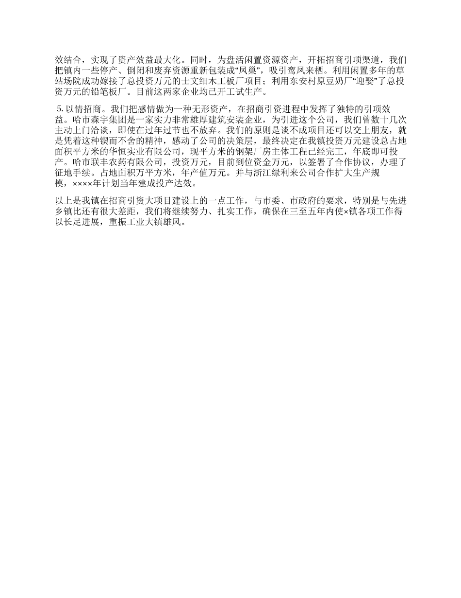 乡镇招商引资典型经验发言材料_第2页