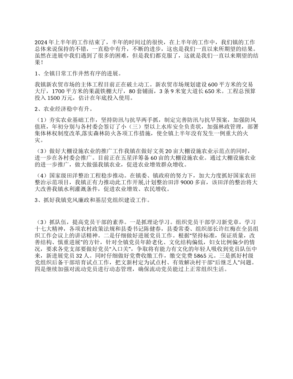 乡镇政府2024年上半年工作总结_第1页