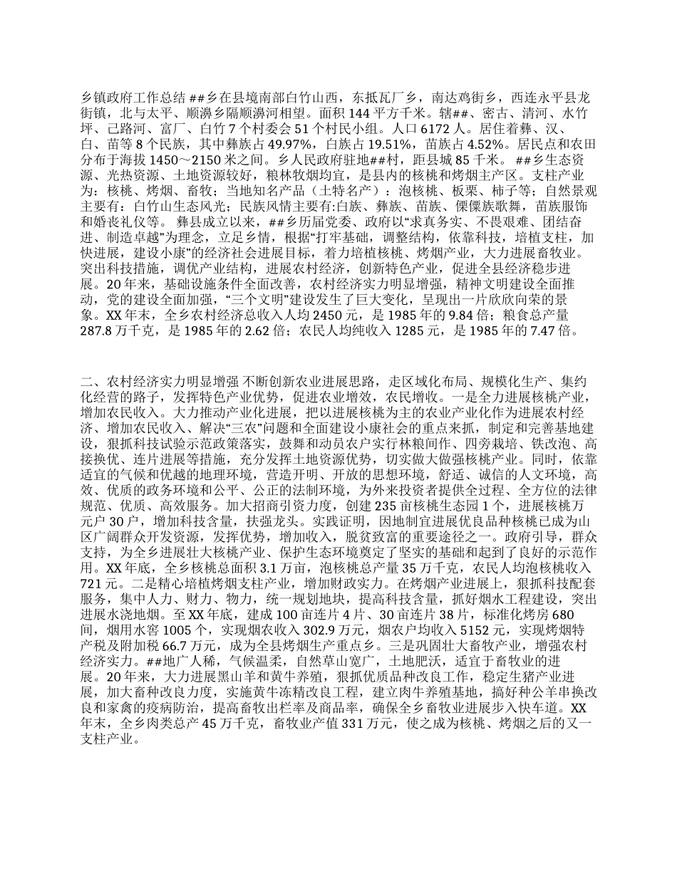 乡镇政府工作总结_第1页