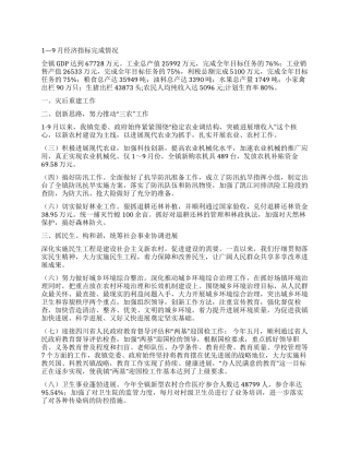 乡镇政府2024年下半年工作总结及年末工作计划