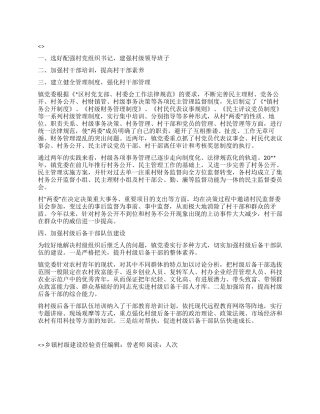 乡镇村级建设经验