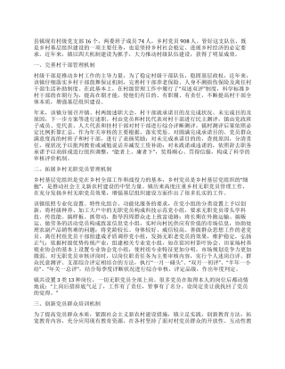 乡镇村级队伍建设工作汇报