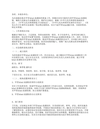 乡镇甲型流感H1N1防控预案