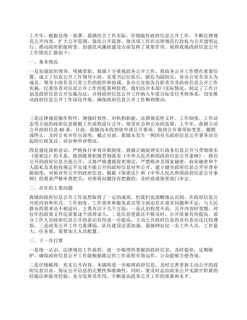 乡镇电子政务和政府信息公开工作总结_第1页