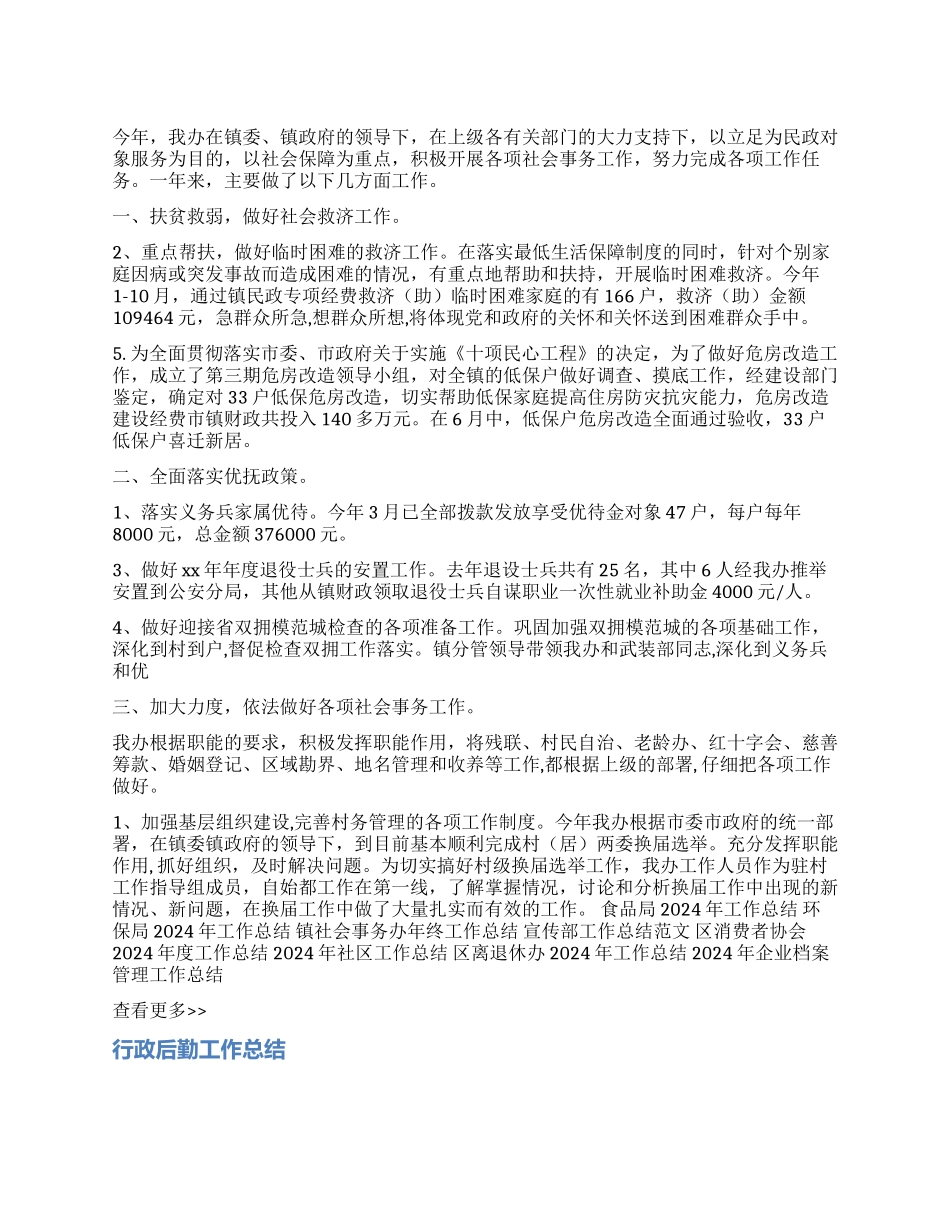 乡镇社会事务办2024年工作总结_第1页