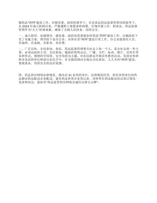 乡镇药品“两网建设工作总结