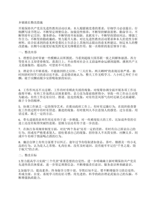 乡镇镇长整改措施