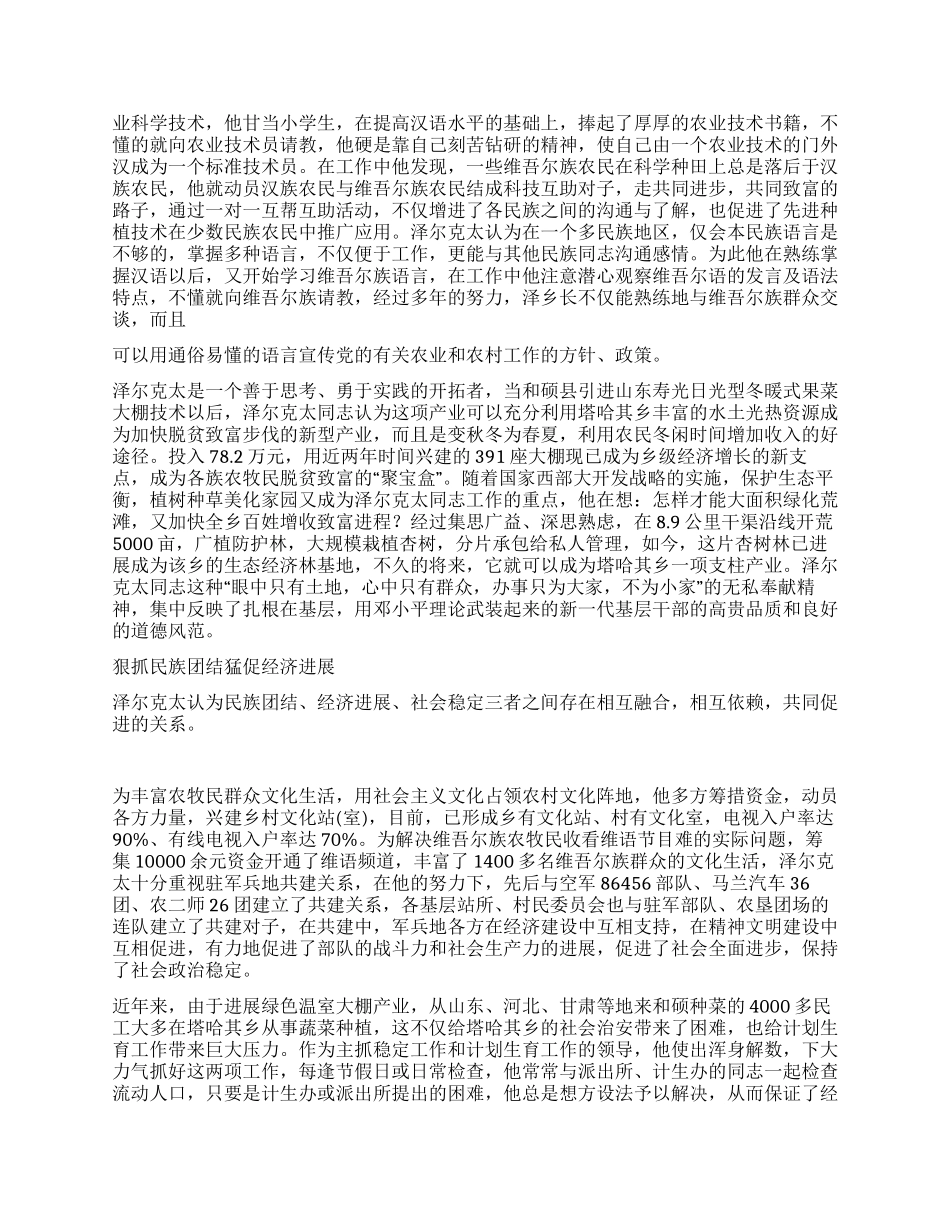 乡镇长促进民族团结先进个人材料_第2页