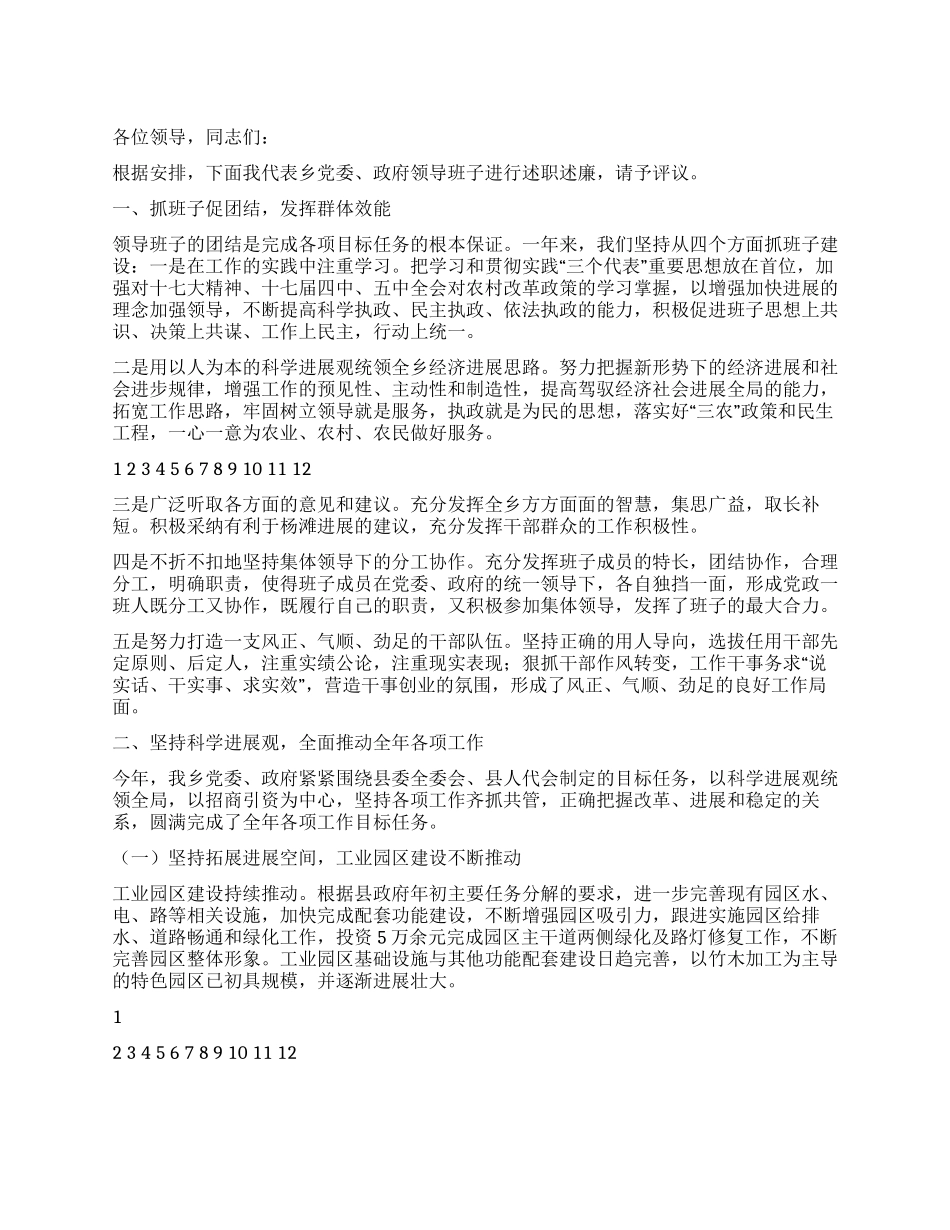 乡镇长在2024年度党政领导干部述职述廉报告会发言稿_第1页