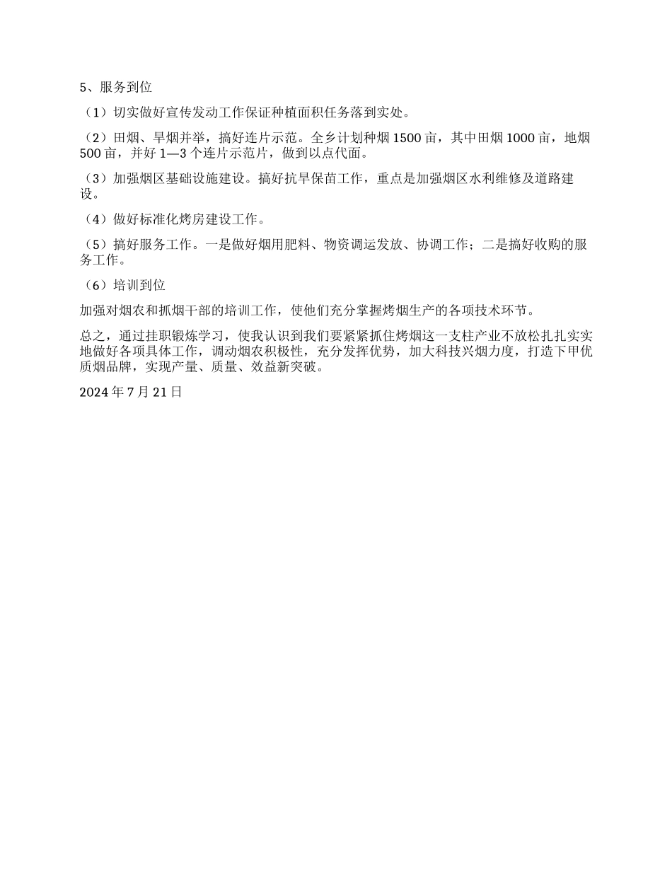 乡镇领导挂职工作总结_第3页