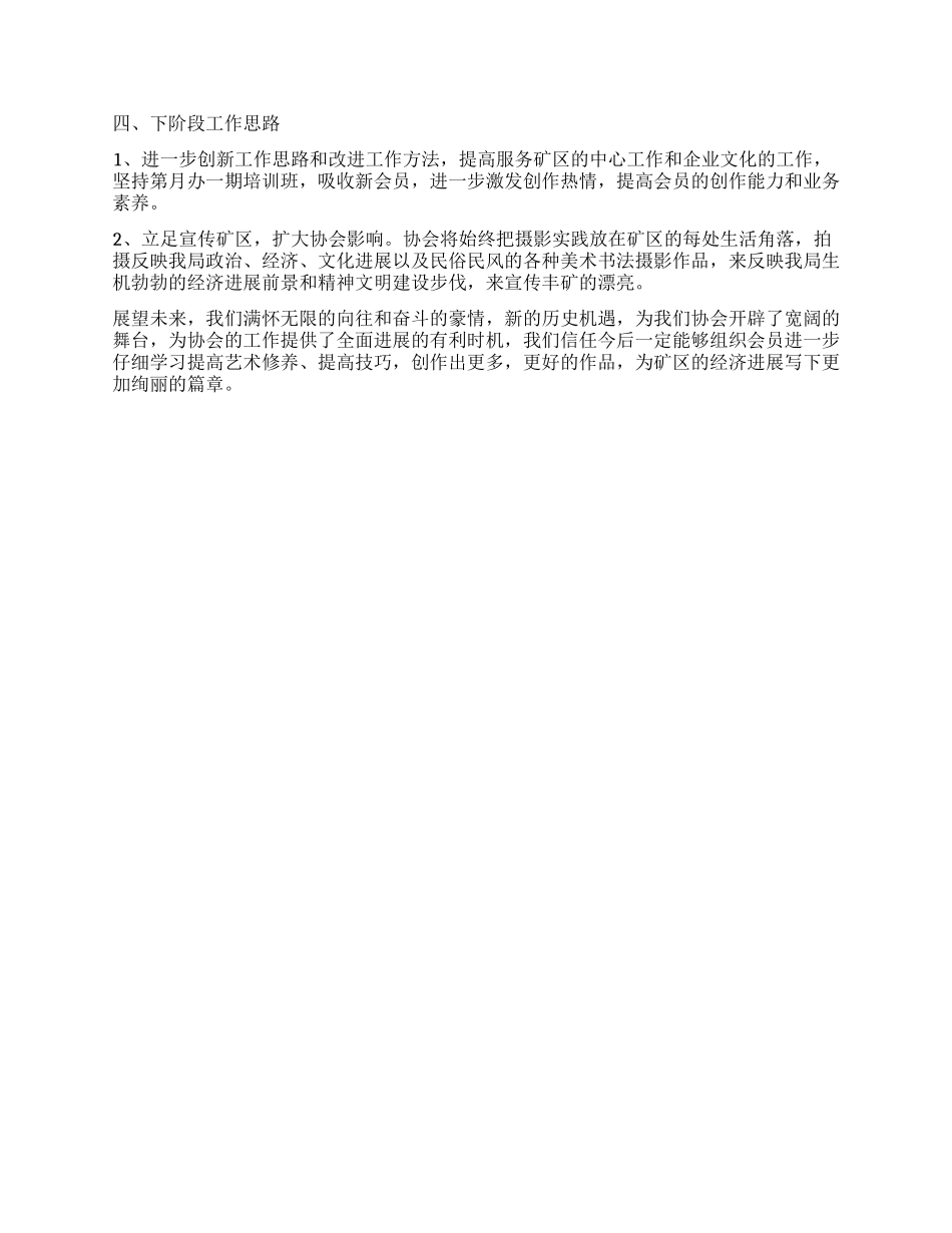 书法摄影协会2024年工作总结_第2页