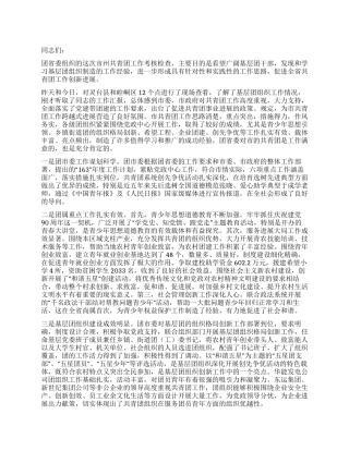 书记在共青团座谈会发言