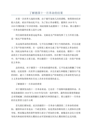 了解德国十一月革命的结果