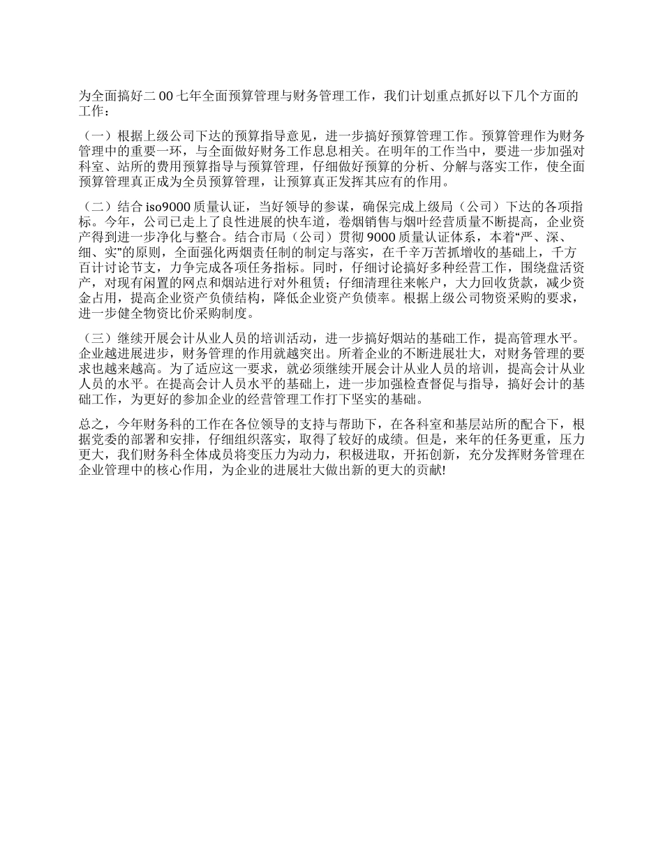 二00七年企业财务工作计划_第1页