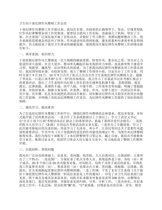 二XX六年卫生局干部纪律作风整顿工作总结