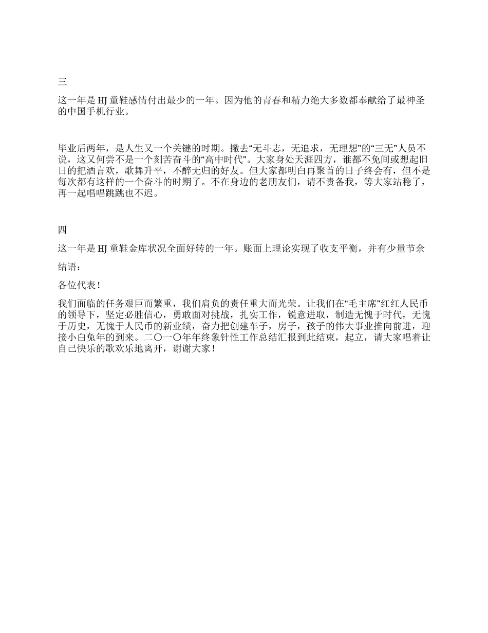 二〇一〇年年终象针性工作总结汇报_第2页