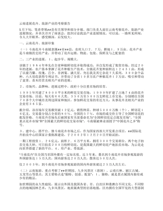 云南发展花卉旅游产业的考察报告