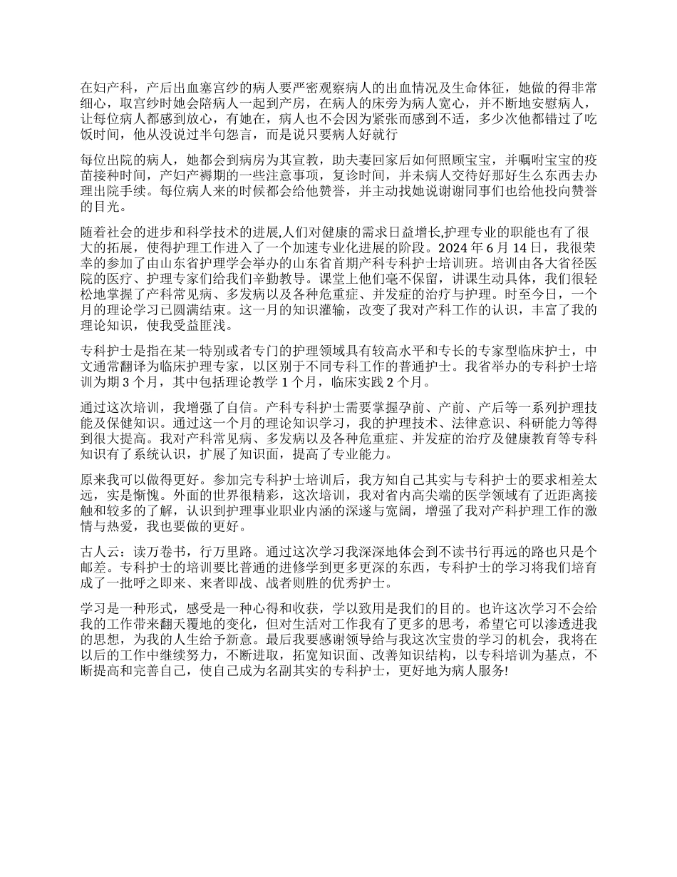 产科护士实习鉴定_第2页