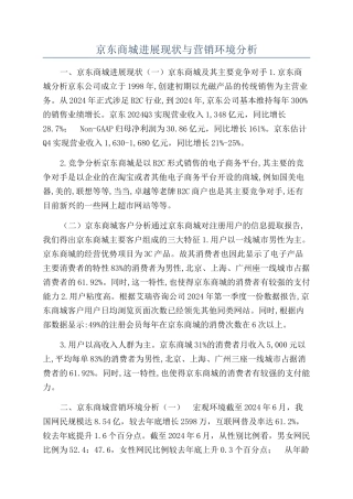 京东商城发展现状与营销环境分析