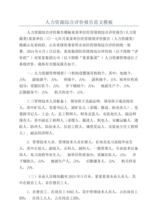 人力资源综合评价报告范文模板