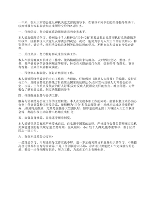 人大个人工作总结