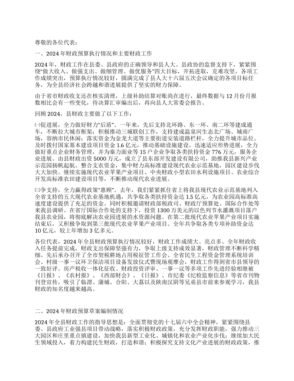 人大会上财政预算执行工作报告_第1页