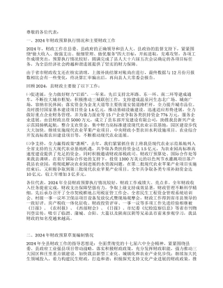 人大会上财政预算执行工作报告