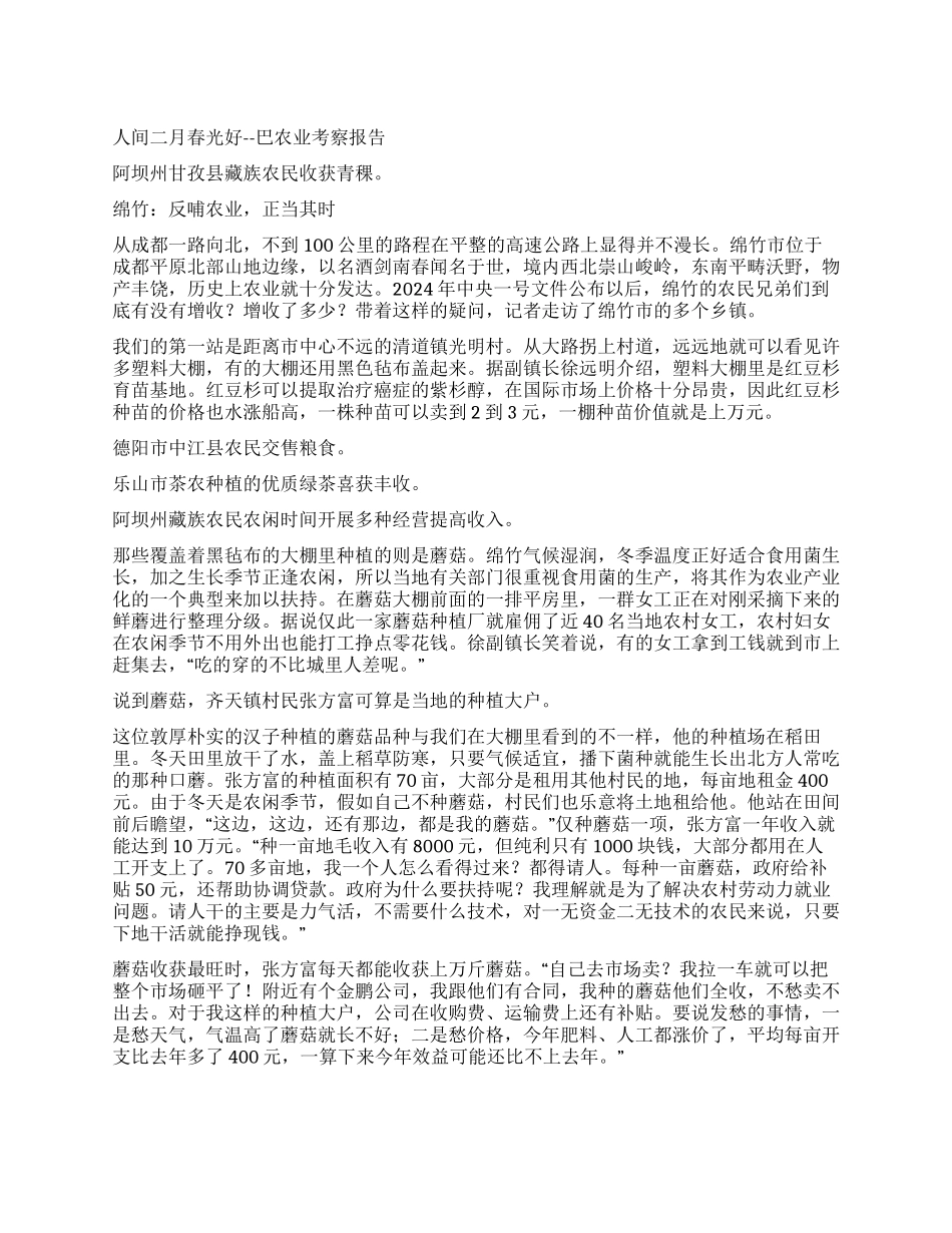 人间二月春光好--巴农业考察报告_第1页