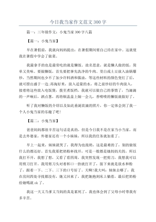今天我当家作文范文300字