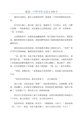 他是一个符号作文范文800字