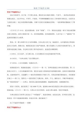 他真了不起作文800