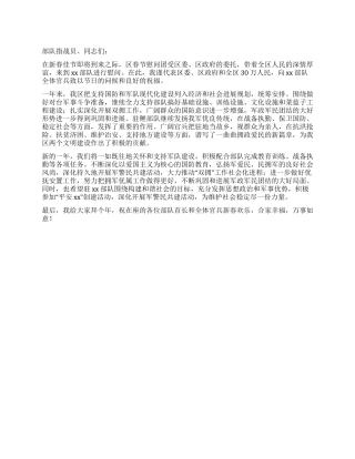 代表团春节慰问部队讲话