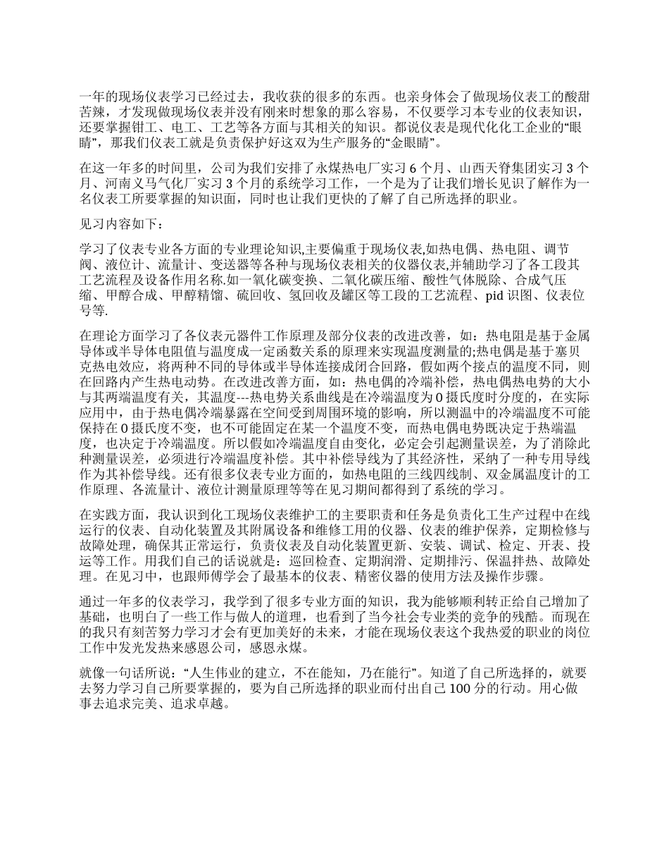 仪表实习工作报告总结_第1页