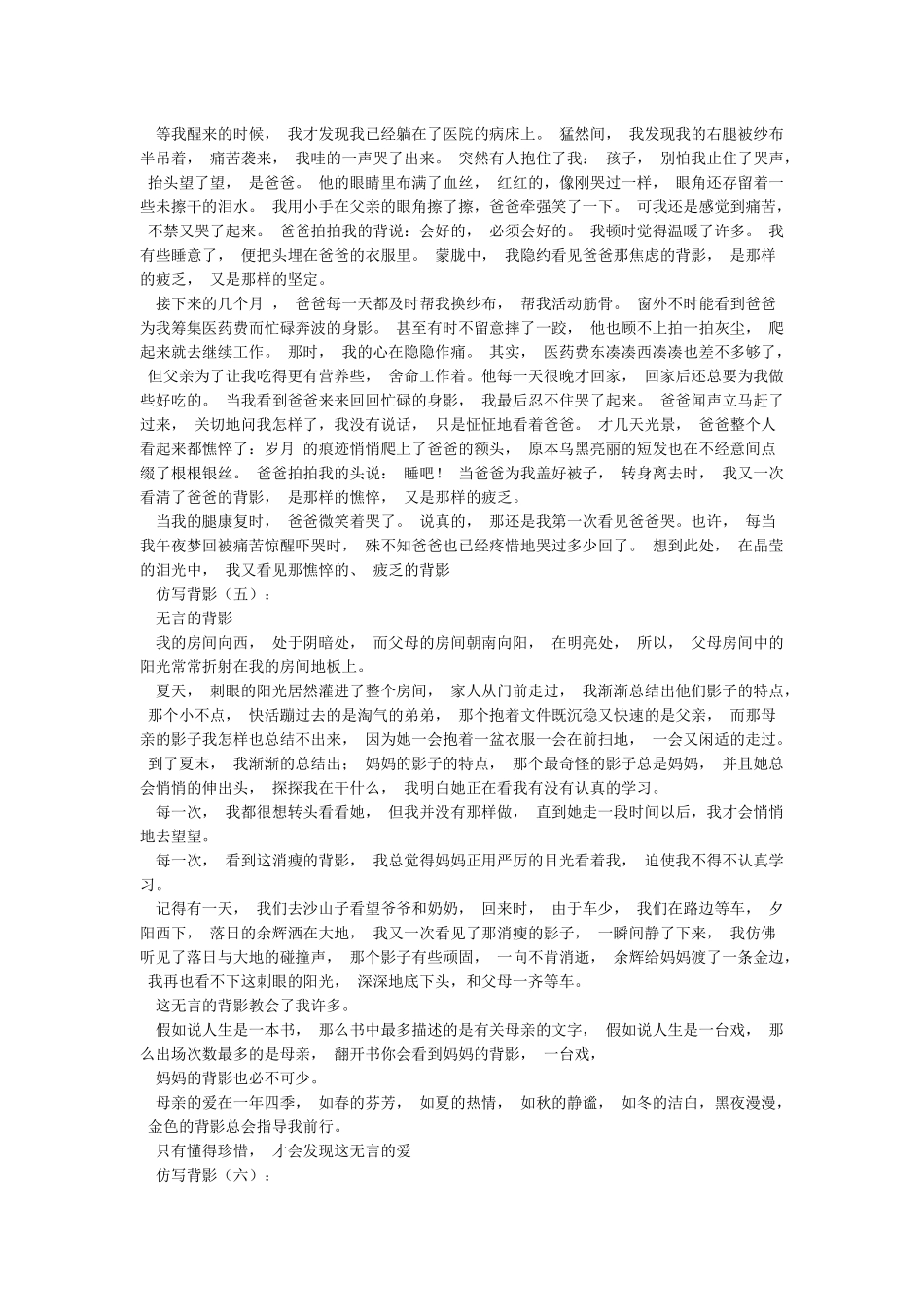 仿写背影12篇全面版_第3页