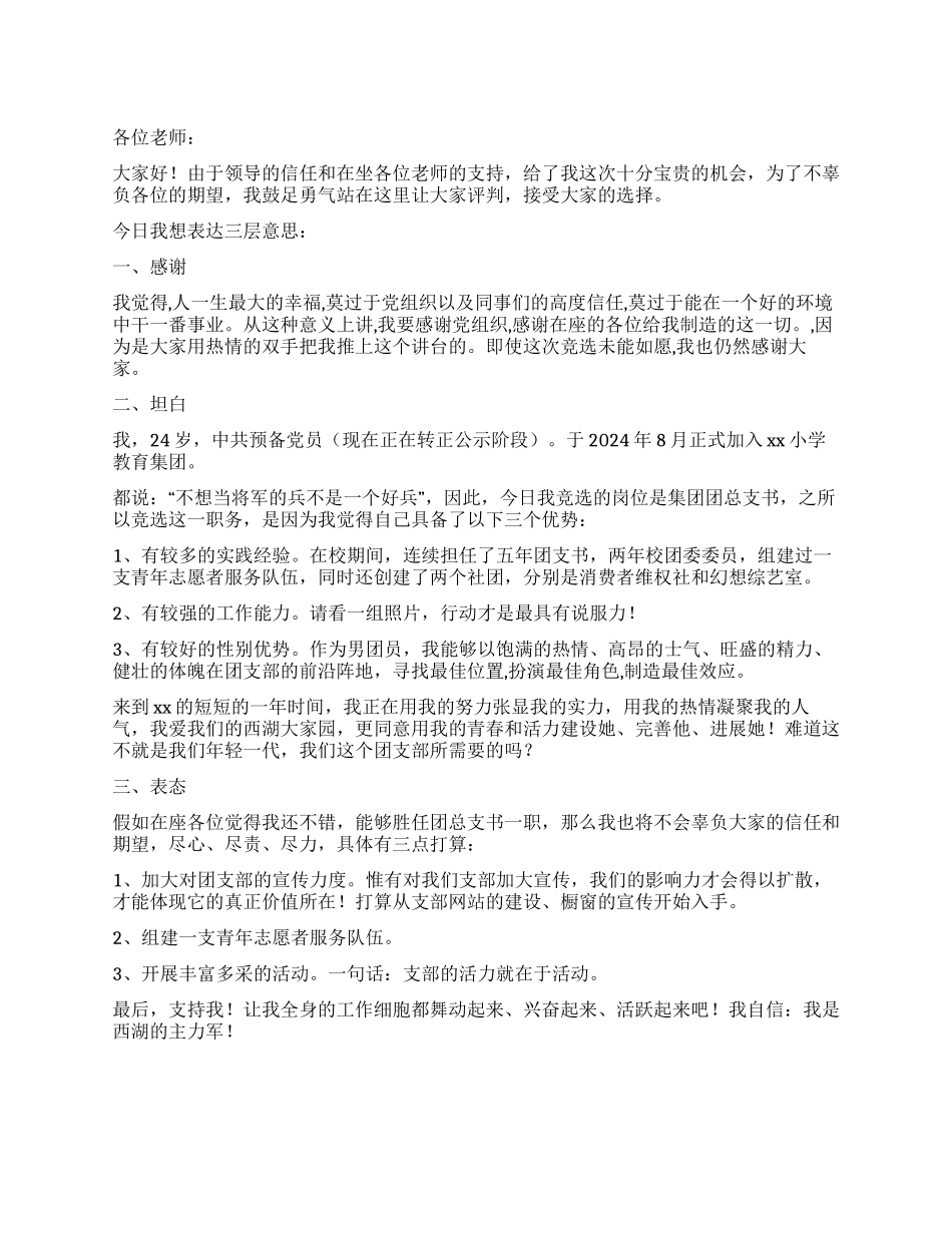 企业团支书竞选稿_第1页