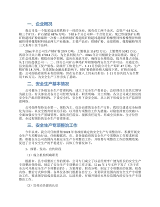 企业安全生产专项整治工作总结