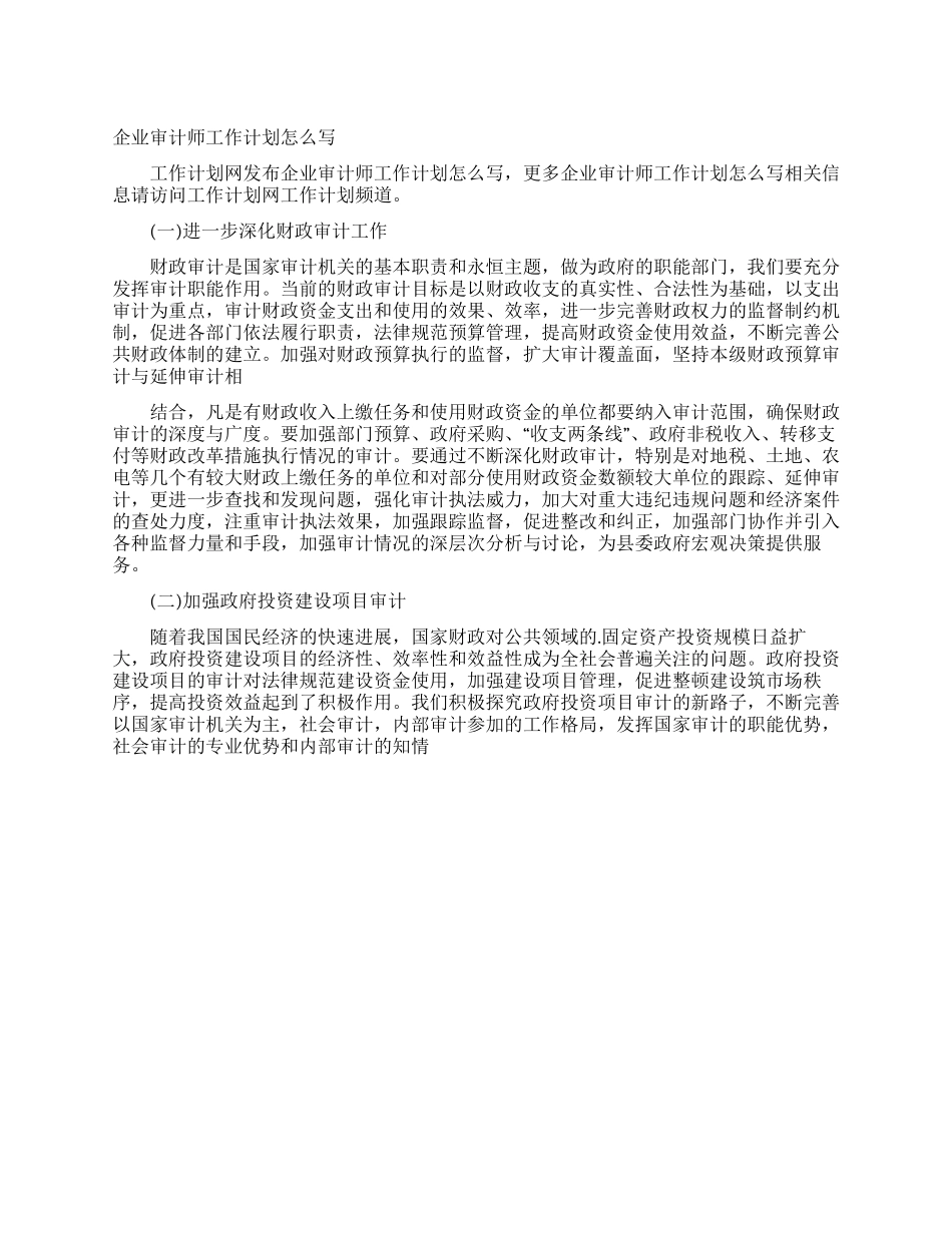 企业审计师工作计划怎么写_第1页