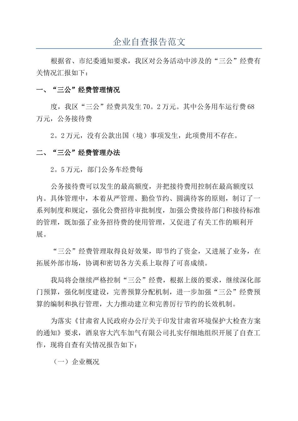 企业自查报告范文_第1页