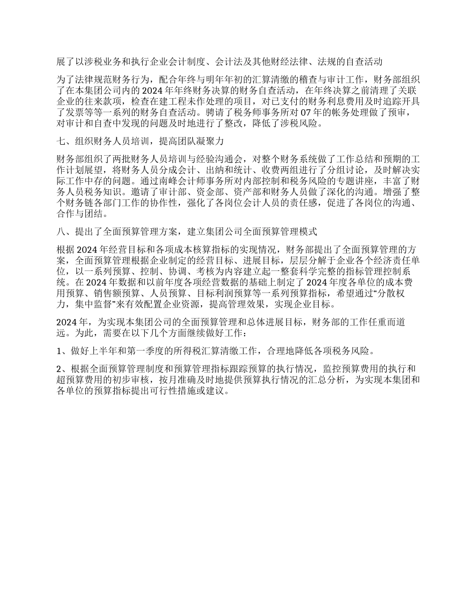 企业财务部2024年度工作总结_第2页
