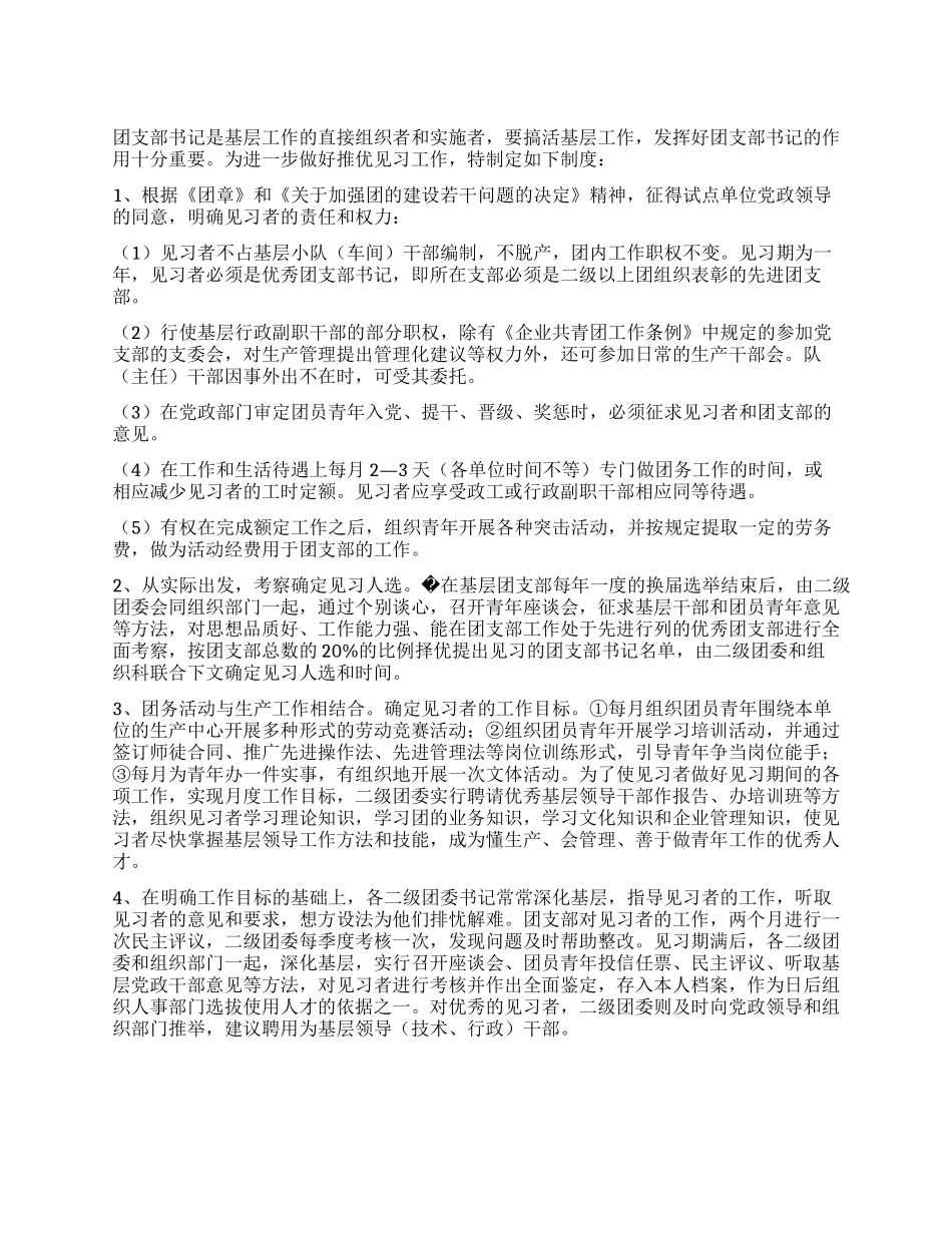 优秀团支部书记见习基层党政副职制度_第1页