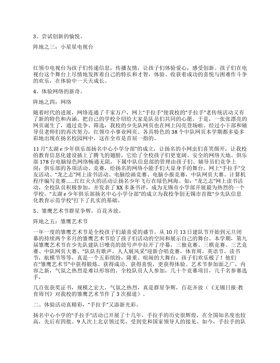 优秀少先队总结_第2页