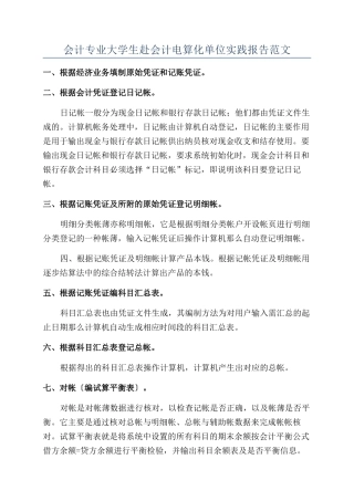 会计专业大学生赴会计电算化单位实践报告范文