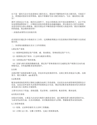 会计信息系统实习报告总结