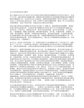 会计学在税务局实习报告